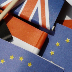 Article 50: Supreme Court Ruling