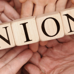 Image of hands holding up blocks which spell Union