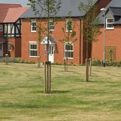 Why use a specialist new build solicitor